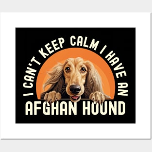 Afghan Hound Posters and Art